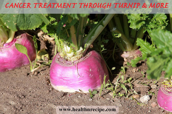 Cancer Treatment Through Turnip