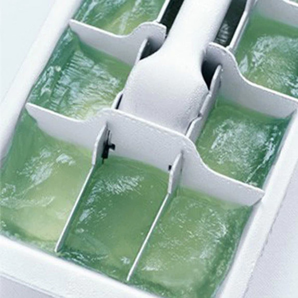 aloe vera iced cubes