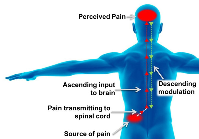 chronic pain causes